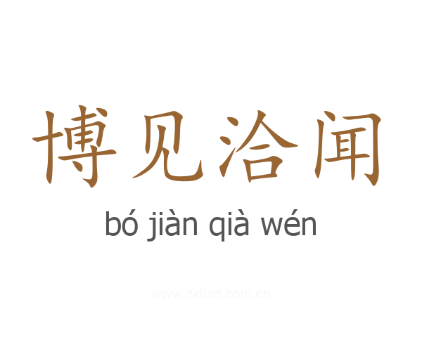 博见洽闻