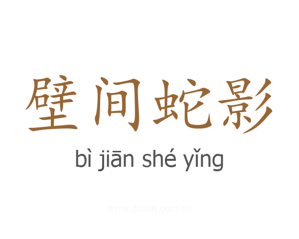 壁间蛇影