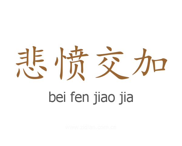 悲愤交加
