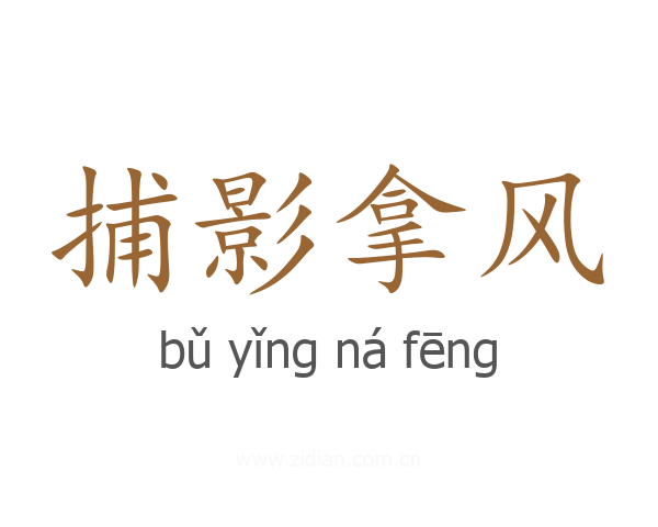 捕影拿风