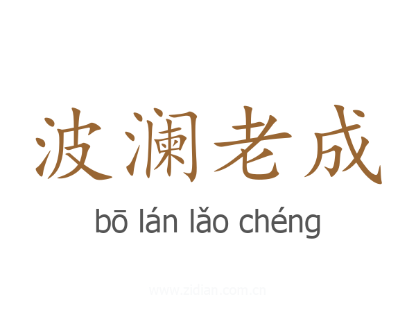 波澜老成