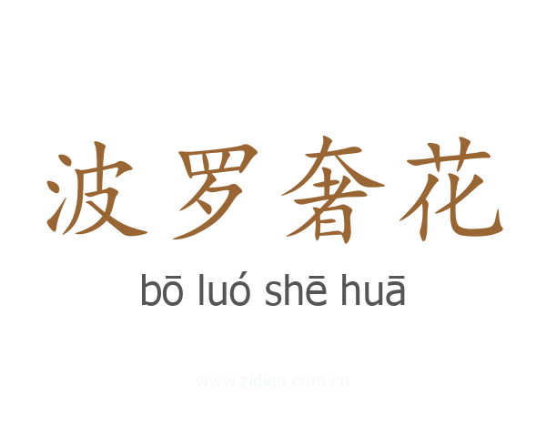 波罗奢花