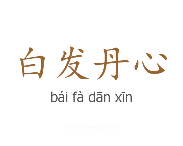 白发丹心