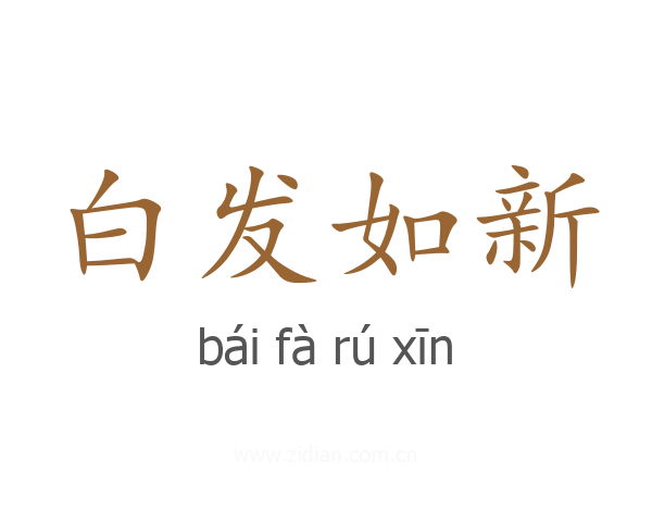 白发如新