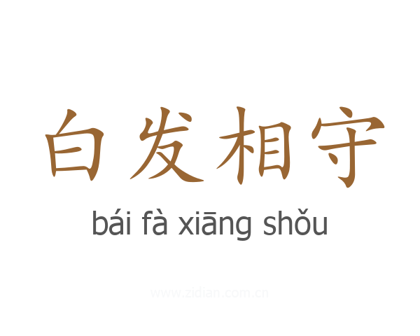 白发相守