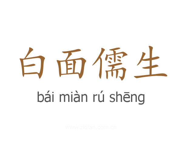 白面儒生
