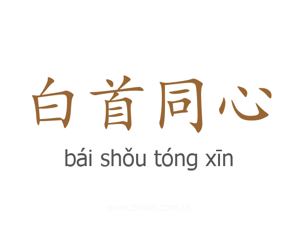 白首同心