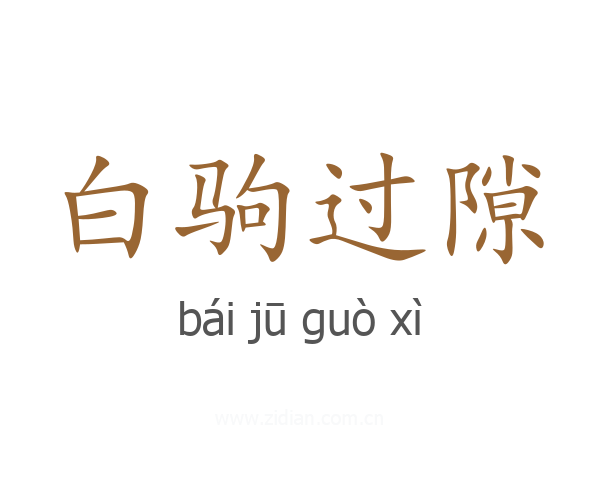 白驹过隙