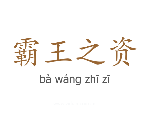 霸王之资