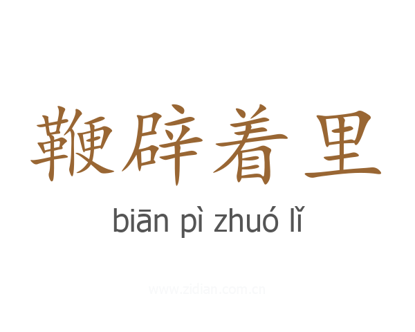 鞭辟着里