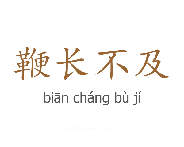 鞭长不及