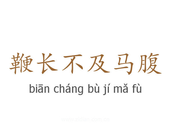 鞭长不及马腹