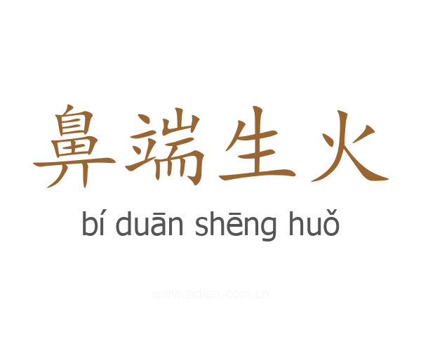 鼻端生火