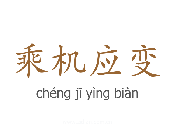 乘机应变