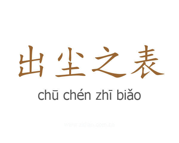 出尘之表