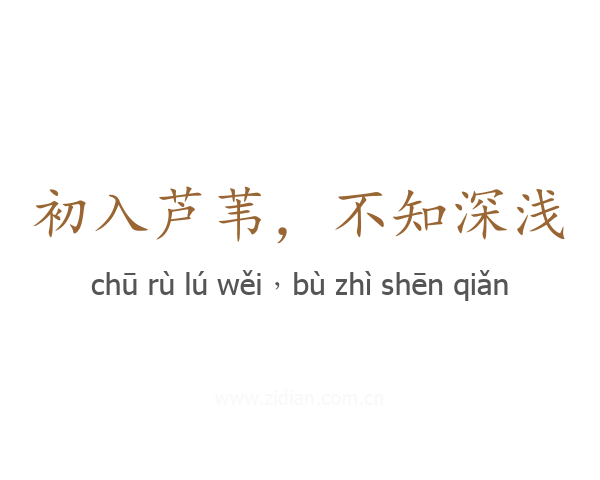 初入芦苇，不知深浅