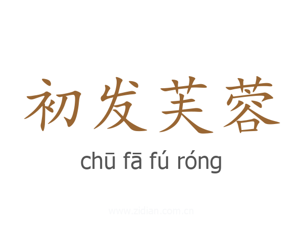 初发芙蓉