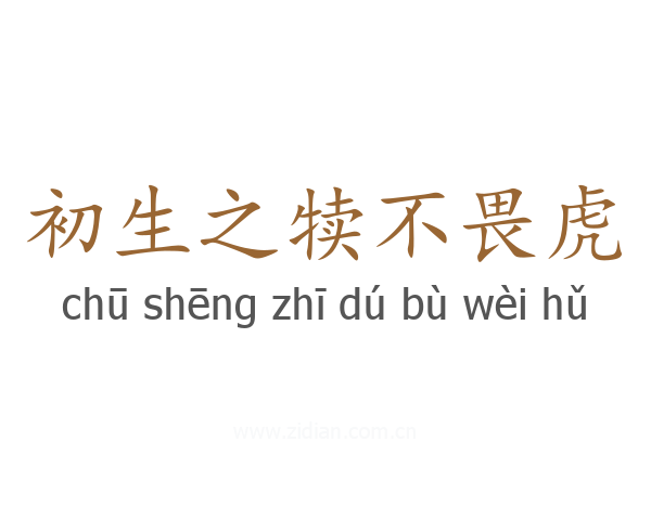 初生之犊不畏虎