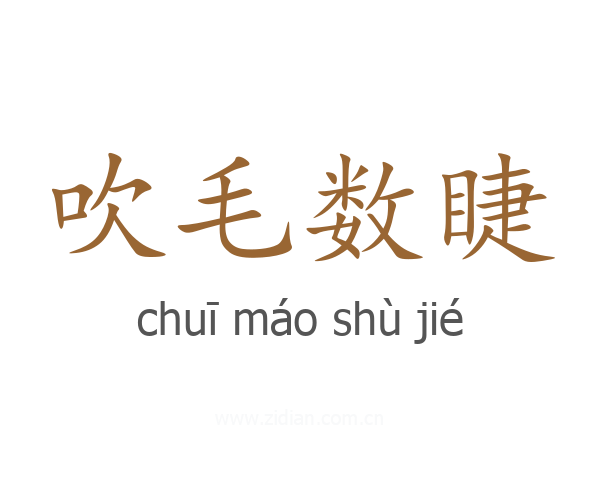 吹毛数睫