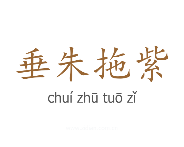 垂朱拖紫