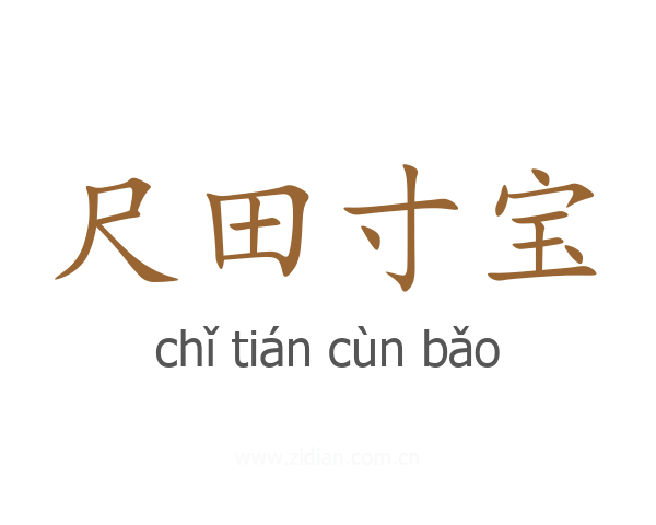 尺田寸宝