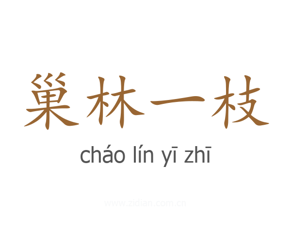 巢林一枝