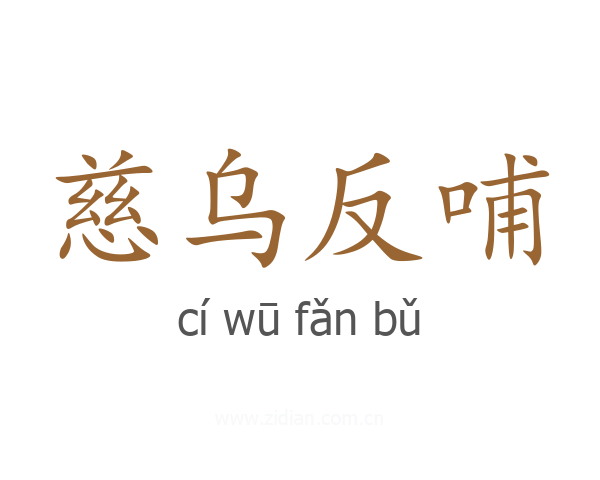 慈乌反哺