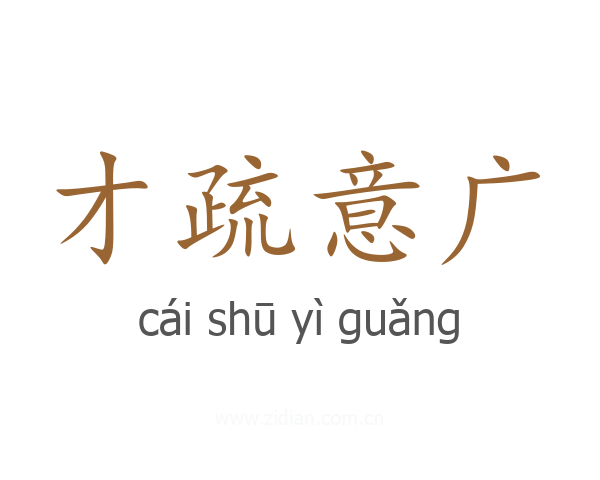 才疏意广