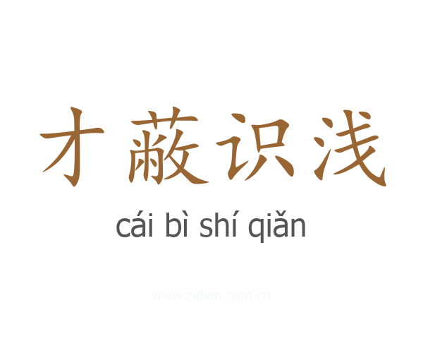 才蔽识浅