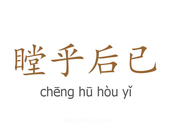 瞠乎后已