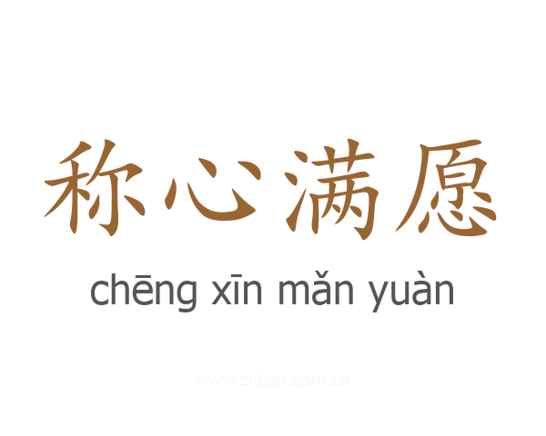 称心满愿