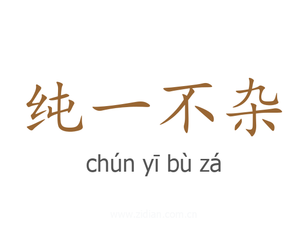 纯一不杂