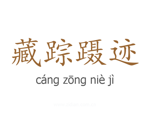 藏踪蹑迹