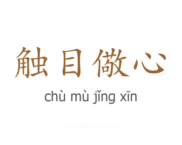 触目儆心
