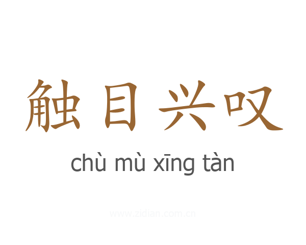 触目兴叹