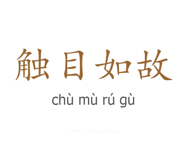 触目如故