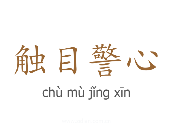 触目警心