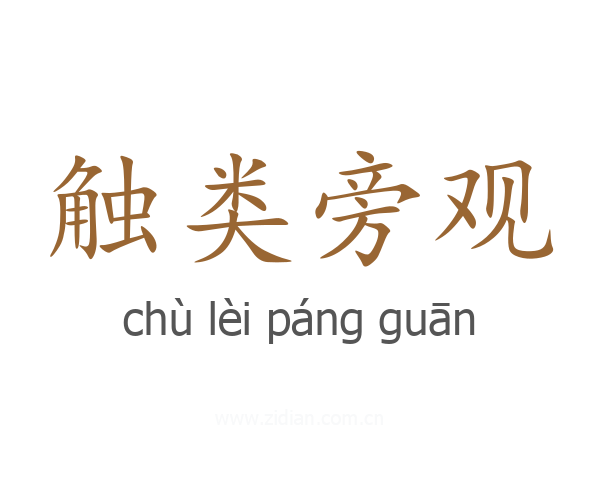 触类旁观