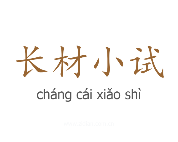 长材小试