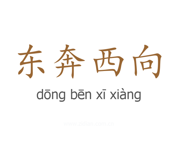 东奔西向