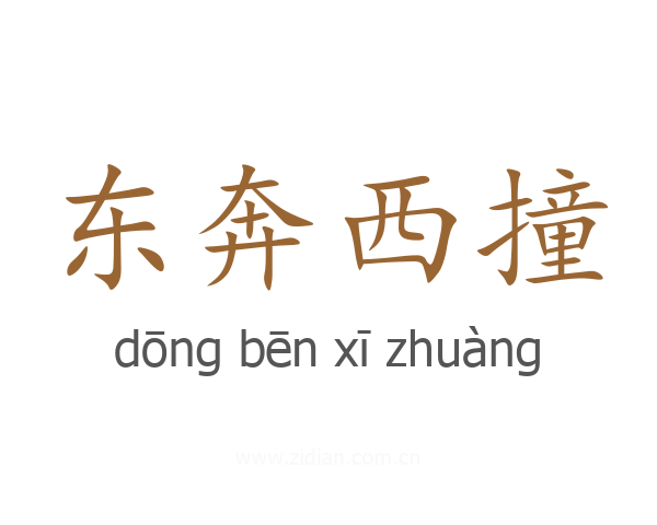 东奔西撞