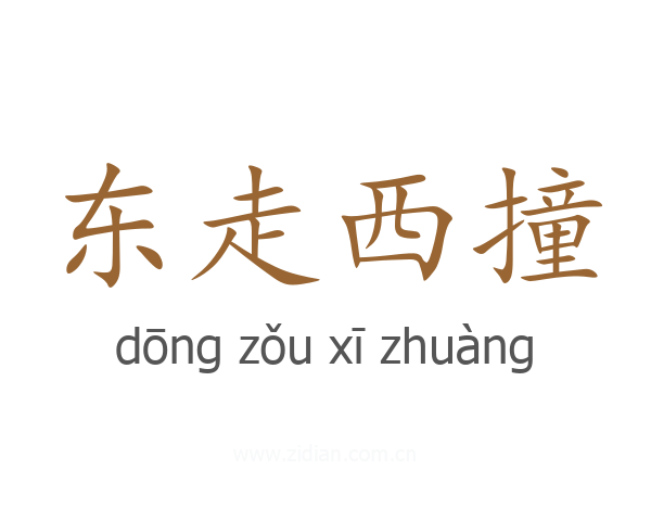东走西撞