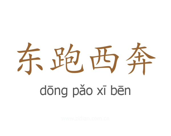 东跑西奔