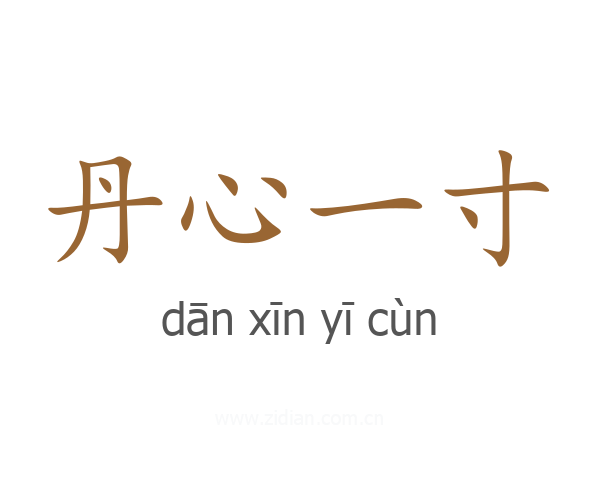丹心一寸