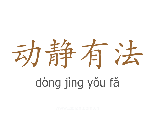 动静有法