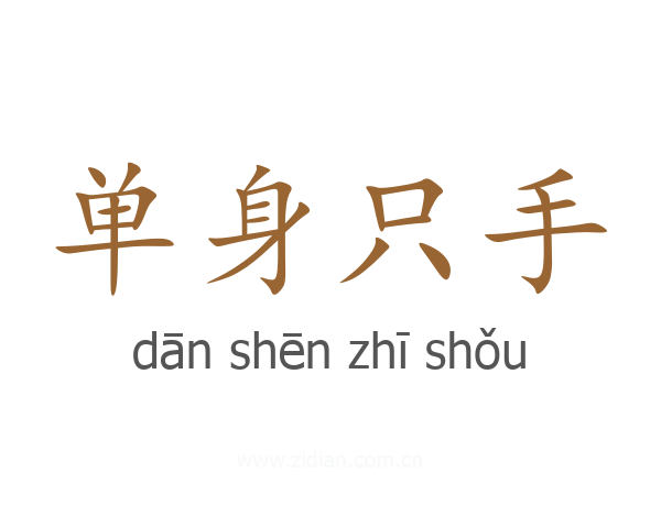 单身只手