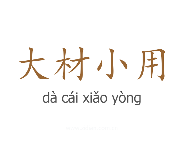 大材小用