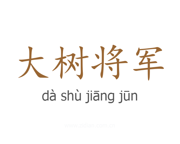 大树将军