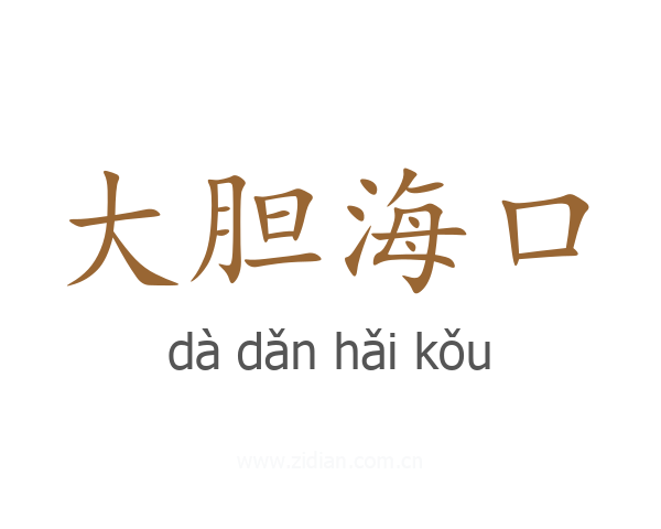 大胆海口