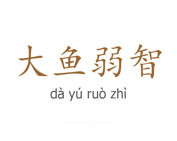 大鱼弱智